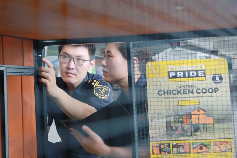 “寵物住宅”跨境出海（圖）