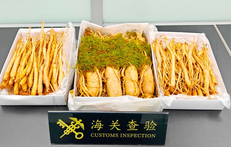 “中國制造”超大設(shè)備起航“冰上絲綢之路”（圖）